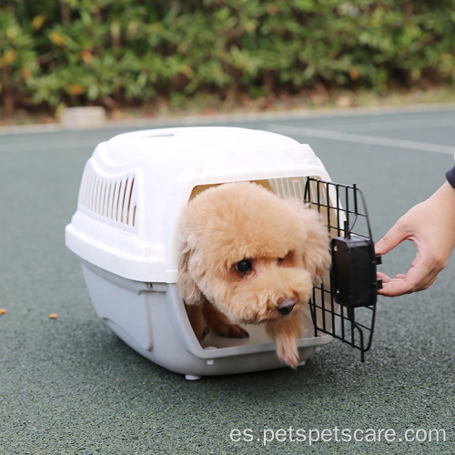 Transportista de mascotas aprobado por la aerolínea mayorista